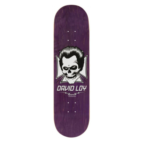 Birdhouse - Loy Skull 8.38" - deska