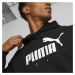 Pánská mikina Puma ESS Big Logo Hoodie FL