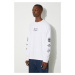 Bavlněné tričko s dlouhým rukávem Reebok Classic Skateboard Longsleeve Tee HT8175 bílá barva, s 