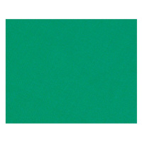 Plátno Buffalo Royal zelené 170 cm Karambol
