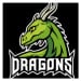 Dragons - logo týmu zelená (Hana-creative) - Triko s dlouhým rukávem FIT-T long sleeve