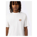 Dickies Icon Washed Tee SS