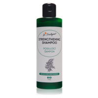 Dr. Feelgood BIO Strengthening posilující šampon na vlasy 200 ml