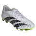 Boty adidas Predator Accuracy.4 FxG M GZ0013