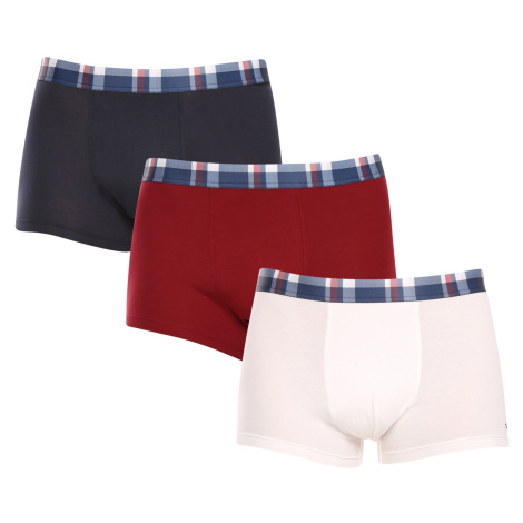 3PACK pánské boxerky Tommy Hilfiger vícebarevné (UM0UM03041 0XU)