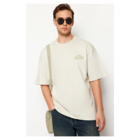 Trendyol Stone Oversize/Wide-Fit Crinoline Print 100% Cotton T-Shirt