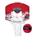 Wilson NBA TEAM MINI HOOP NO Pelicans