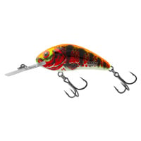 Salmo wobler rattlin hornet floating holo red perch - 3,5 cm 3,1 g