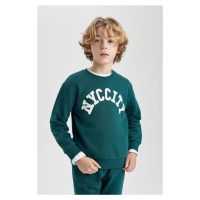 DEFACTO Boy's Crew Neck Printed Sweatshirt