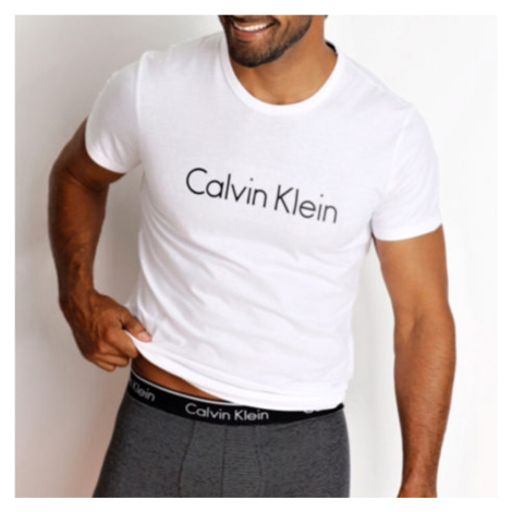 Calvin Klein - Pánské triko (bílá) NM1129E-100 - Calvin Klein