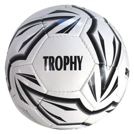 Fotbalový míč - SPARTAN Trophy vel. 4