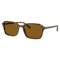 Ray-Ban RB2231 141833 - L (58)