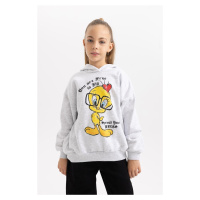 DEFACTO Girl's Looney Tunes Oversize Fit Hooded Soft Fuzzy Thick Sweatshirt