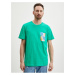 Zelené pánské tričko Tom Tailor Denim