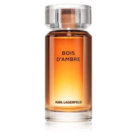 Karl Lagerfeld Bois d´Ambre toaletní voda pro muže 100 ml