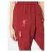 Sportovní kalhoty 'Liverpool FC'