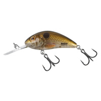 Salmo wobler rattlin hornet floating pearl shad clear - 3,5 cm