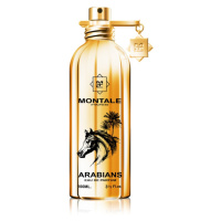 Montale Arabians parfémovaná voda unisex 100 ml