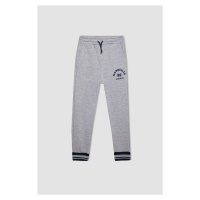 DEFACTO Boy Regular Fit Elastic Waist Leg Printed Tracksuit Bottoms