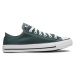 Converse Chuck Taylor All Star Seasonal Color