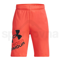 Under Armour Prototype 2.0 Logo Shorts