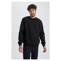 DEFACTO Regular Fit Crew Neck Plush Sweatshirt