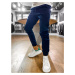 Men's navy blue jogger pants Dstreet UX3303