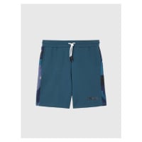 Diesel Shorts - BMOWTPANBW SHORTS blue