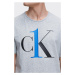 Calvin Klein CK ONE tričko pánské - šedé