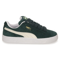 Puma 21 SUEDE XL Zelená