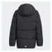 Dětská bunda Frosty Jacket Jr HM5205 - Adidas