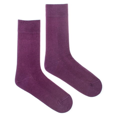 Ponožky Klasik lilkový Fusakle
