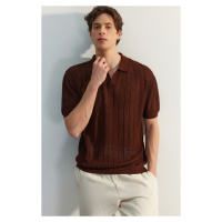Trendyol Brown Limited Edition Regular Fit Short Sleeve Polo Neck Knitwear Tshirt