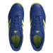 Pánské fotbalové boty Super Sala 2 IN M model 18193275 - ADIDAS