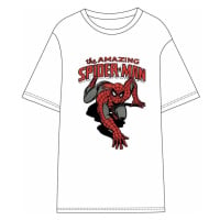 SHORT SHIRT SINGLE JERSEY SPIDERMAN