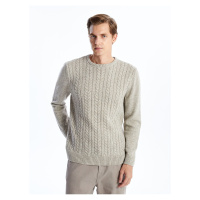 LC Waikiki Lw - Crew Neck Long Sleeve Men's Knitwear Sweater