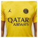 Nike PSG DF Academy Pro SS Top PM 4TH M DR4906 720 tričko