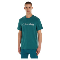 Calvin Klein Pánské triko Regular Fit NM2264E-CA4