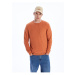 LC Waikiki Crew Neck Long Sleeve Men's Knitwear Sweater