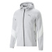 Puma EVOSTRIPE FULL-ZIP HOODIE Pánská sportovní mikina, šedá, velikost