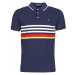 Polo Ralph Lauren POLO AJUSTE DROIT RAYE AVEC DETAILS DE COL ET DETAILS MANCHES EN ruznobarevne