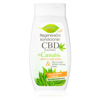 Bione Cosmetics Cannabis CBD regenerační kondicionér na vlasy 260 ml