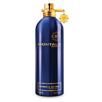 Montale Amber & Spices - EDP 100 ml
