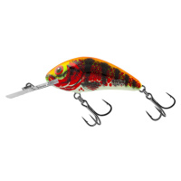 Salmo Wobler Rattlin Hornet Floating 3,5cm - Holo Red Perch