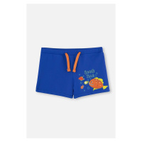 Dagi Blue Fish Print. Shorts