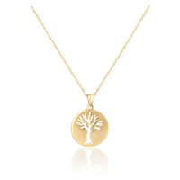 Dámský stříbrný pozlacený náhrdelník strom života STNAH157F