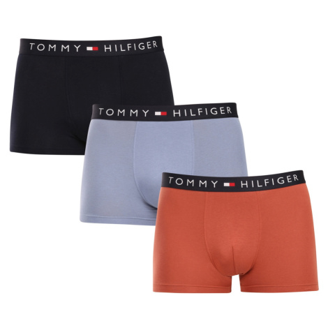 3PACK pánské boxerky Tommy Hilfiger vícebarevné (UM0UM03180 0T1)