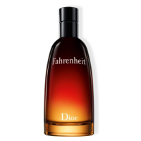 Dior Fahrenheit Eau de Toilette toaletní voda 100 ml