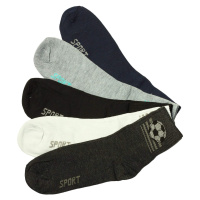 Pánské bavlněné ponožky ZM-379 - 3 páry vícebarevná