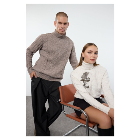 Trendyol Mink Regular Couple Turtleneck Textured Knitwear Sweater